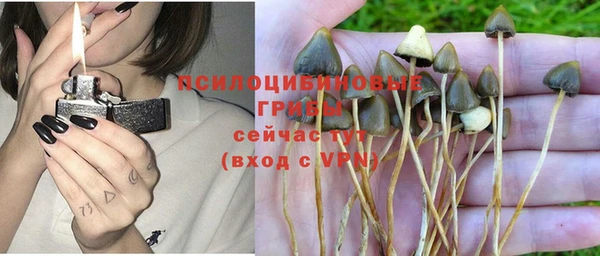 МДМА Богданович