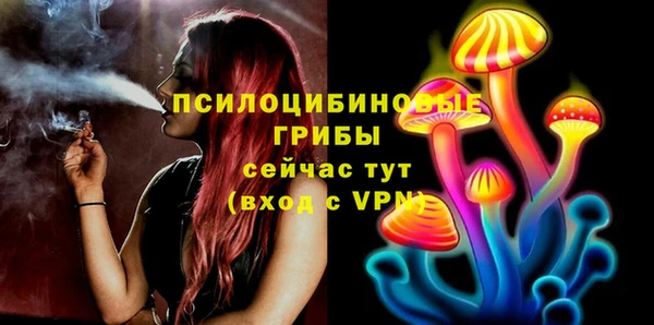 хмурый Снежинск